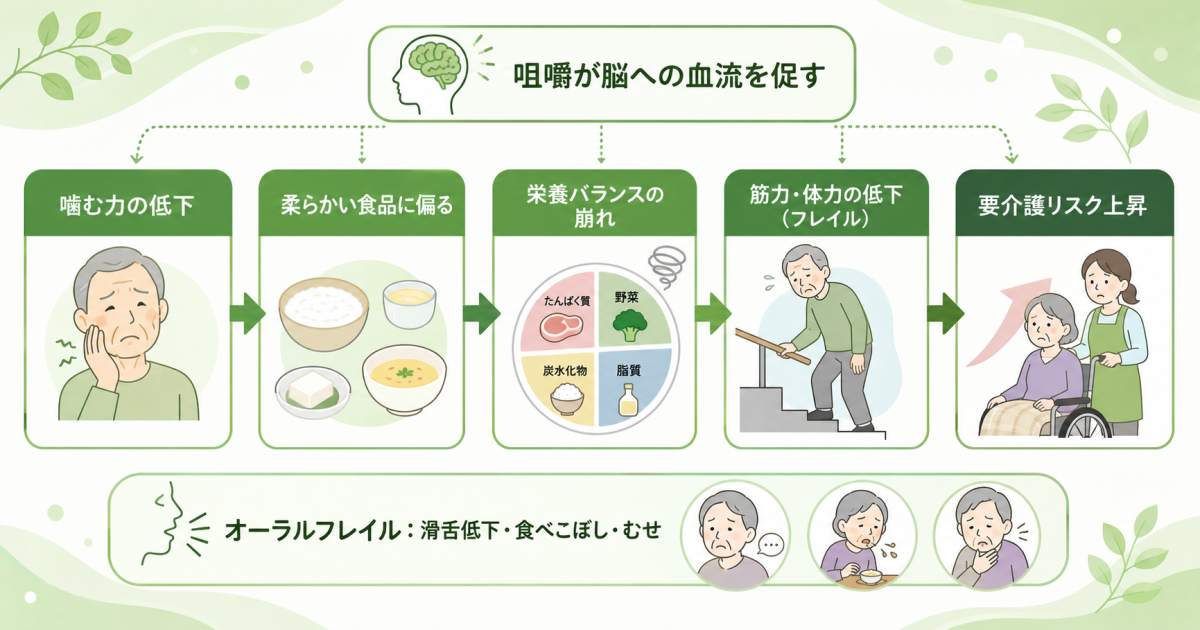 ■噛む力の低下が健康寿命を縮める理由