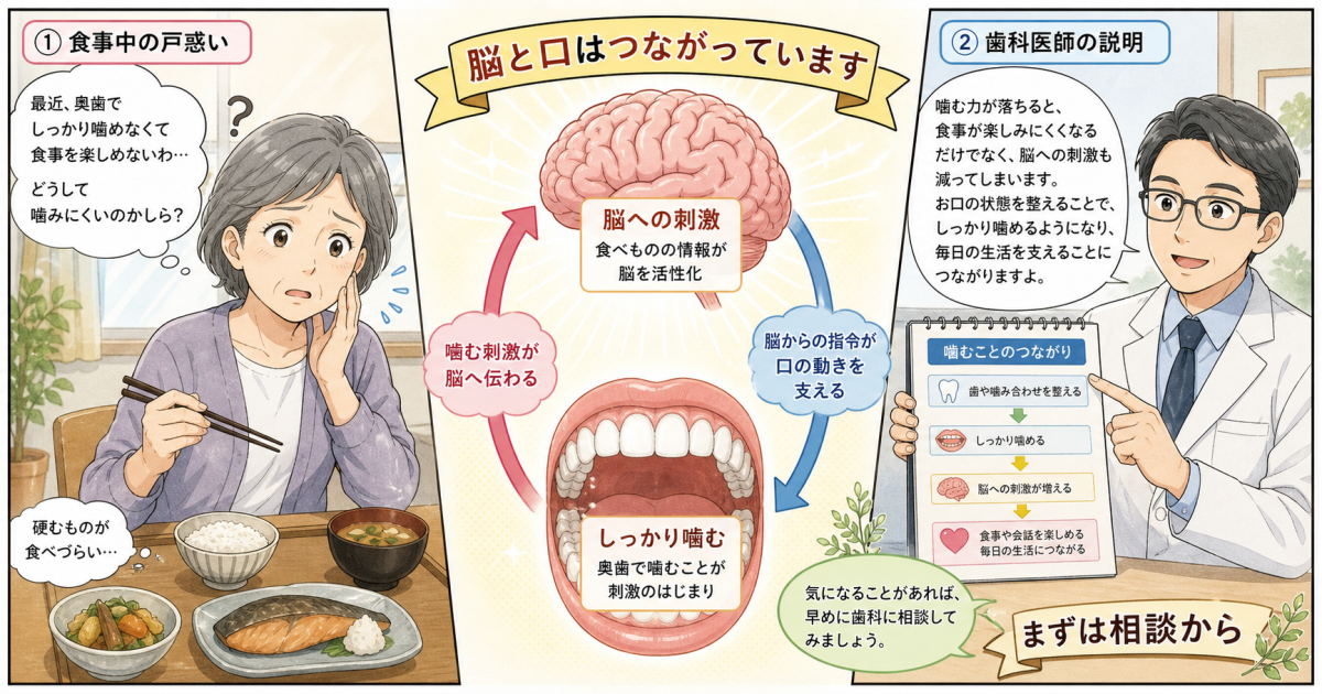 放置した奥歯と認知症の関係は？咀嚼が脳の働きを支えるしくみを解説